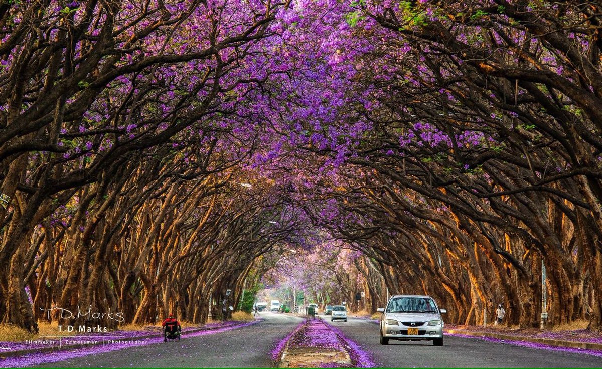 Harare, Zimbabwe [OS] : r/CityPorn