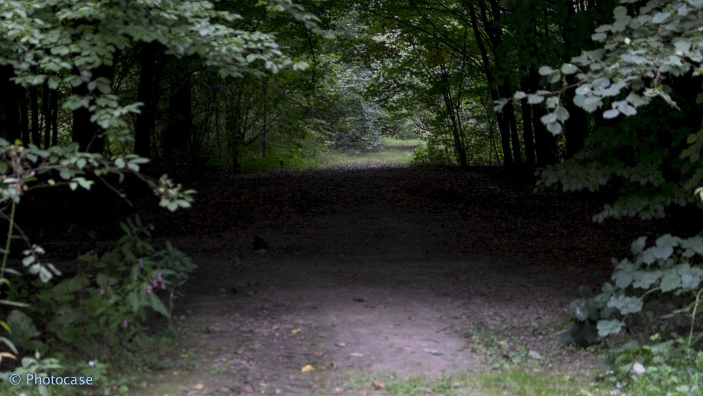 Lichtval (Klik op de foto) oogopnederland.nl/dordrecht/2016…