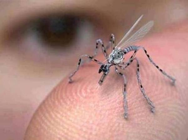 HillPest's tweet image. This is not a #mosquito, its a #spydrone. Equipped with #camera &amp;amp; #microphone. It has the potential to take a #DNAsample or #tracking.