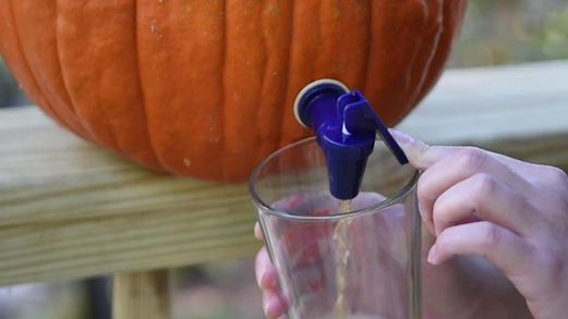 ivmenow's tweet photo. Suffering from #pumpkin spice fatigue? We have the cure! Create this nutritious Pumpkin Quinoa #recipe: https://t.co/HOnpnxd9Pt @tennessean https://t.co/Q3FIr7GqYj