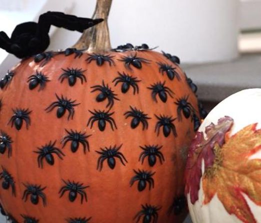 ivmenow's tweet photo. Suffering from #pumpkin spice fatigue? We have the cure! Create this nutritious Pumpkin Quinoa #recipe: https://t.co/HOnpnxd9Pt @tennessean https://t.co/Q3FIr7GqYj