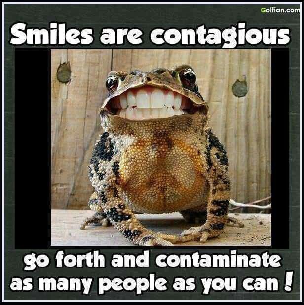 BeckyWilliams1's tweet photo. Morning. Wishing you all a fabulous Friday! https://t.co/tC60rMVz8b