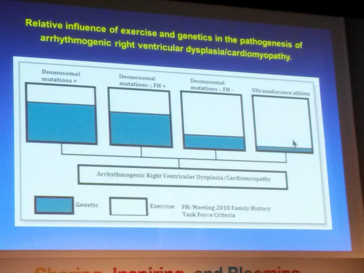 EPinnovation's tweet photo. Endurance exercise >30min 3-5x/week not good for patients with ARVD, and perhaps also probands. (Dr Calkins) #aphrs2016 @JohnsHopkins https://t.co/AujxYOCK0f