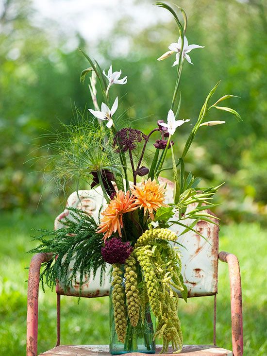 bgdemooij's tweet photo. Cyperus worden ook wel Bezems genoemd. Mooi als decoratie materiaal of eigentijdse schikkingen. https://t.co/7bdgBKLQ9P