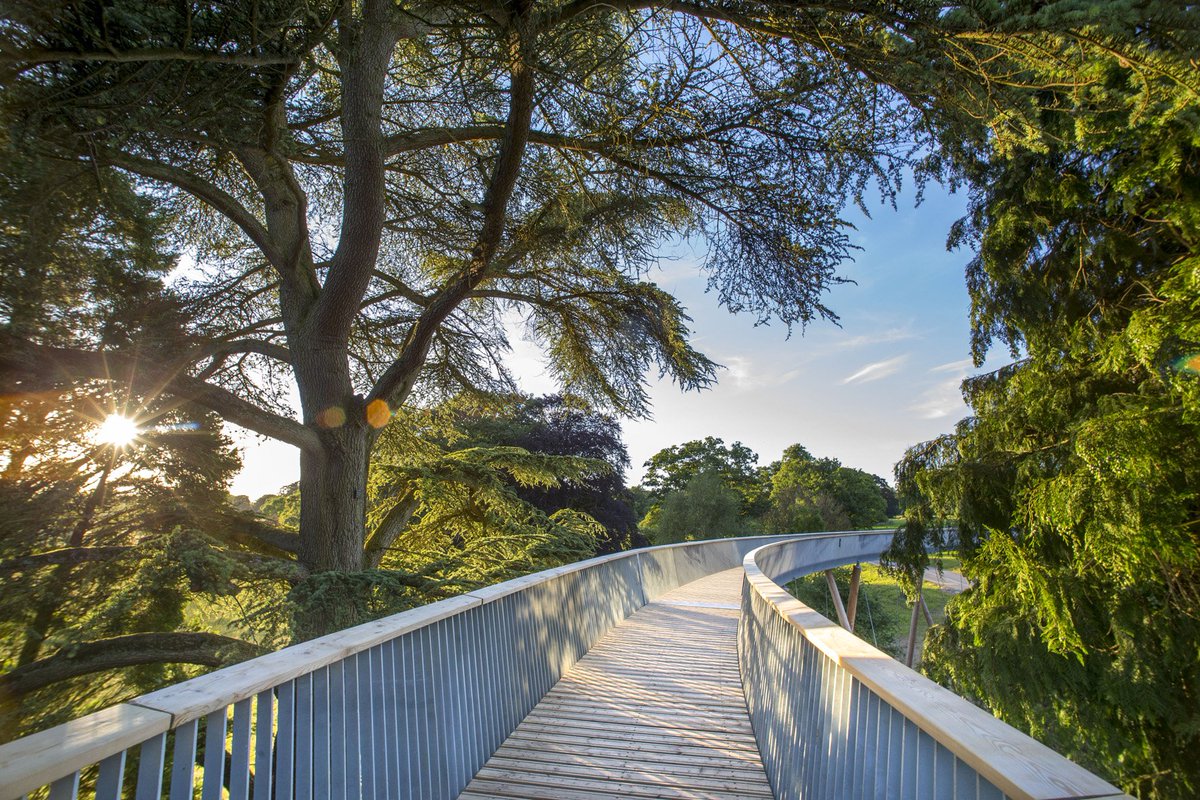 ForestryEngland's tweet photo. The Treetop Walkway @WestonbirtArb was built using 300m of @GrowninBritain licensed timber #GiBweek2016 https://t.co/5p3AbvpPHP