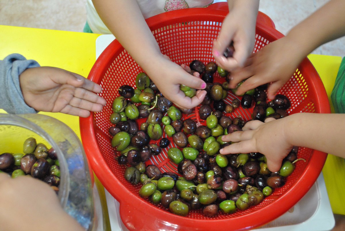 eipatufet's tweet photo. El olivo de Patufet, seña de identidad de nuestra Escuela: https://t.co/2a0sr13YN9 #escuelainfantil #Ruzafa https://t.co/ZMtfql5A8l
