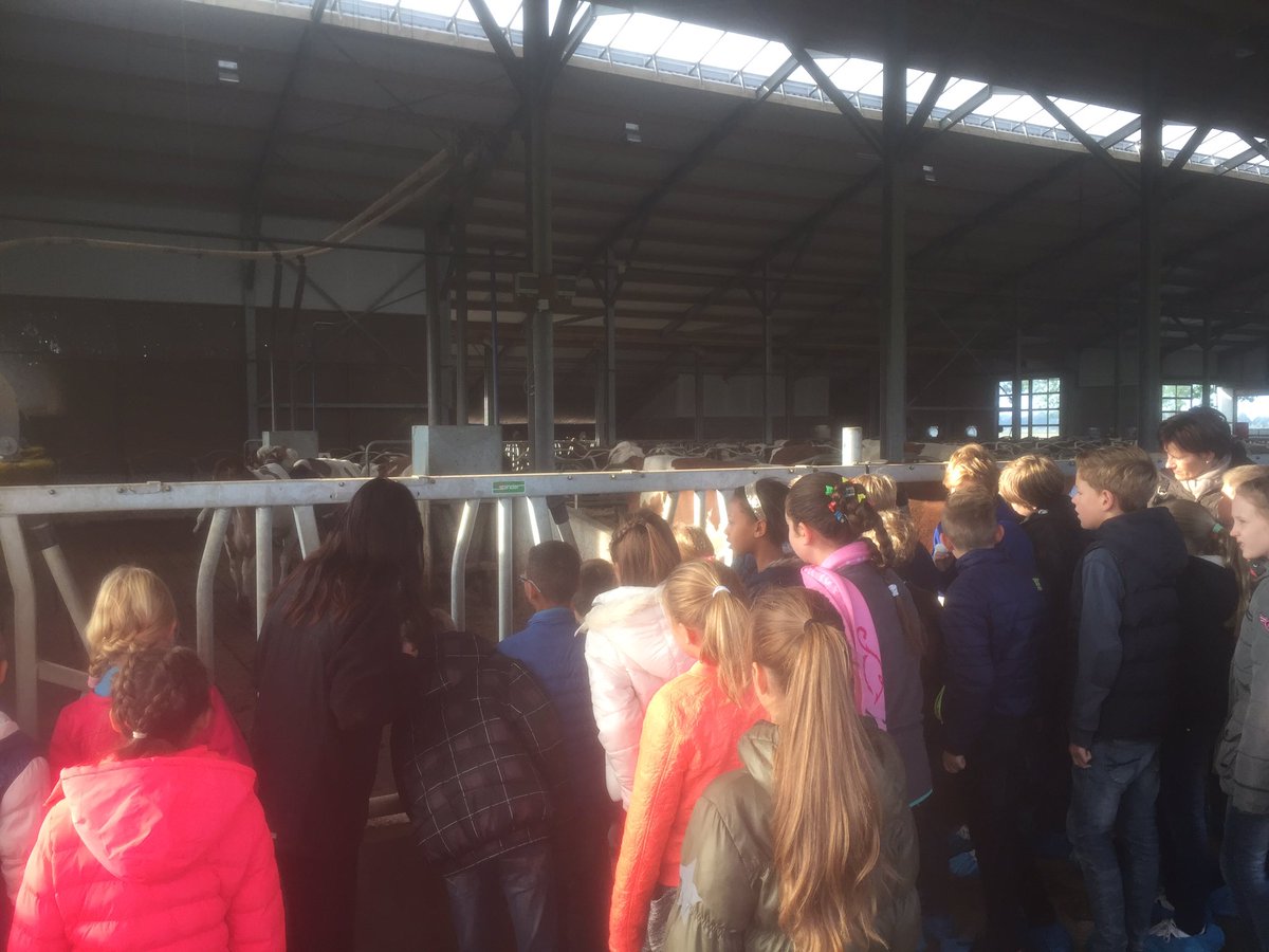 Met groep 7 van <a href="/OBSMettegeupel/">OBS Mettegeupel</a> op bezoek bij @kollukshofke voor de aftrap van Menu Restaurant Oss #klasseboerenoss @AgrifoodCapital
