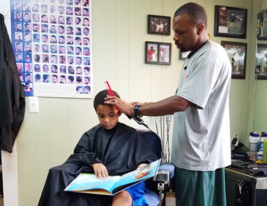 Inhabitat tweet media