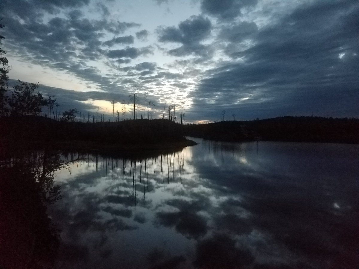 Just because there was a fire there a decade ago doesn't mean it's not beautiful. #photofriday #bwca