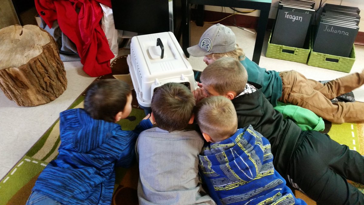 116SSES's tweet photo. Finn was part of our estimation lesson in math and our research in science. #learningwithanimals #rootsofempathy https://t.co/JsV92M7kQr