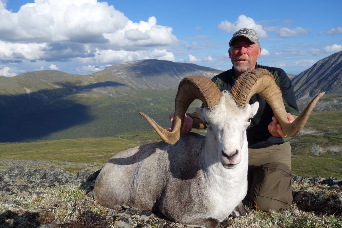 Compass360gear's tweet photo. This is one beautiful sheep hunting trophy! #compass360gear #huntinglife #rainwear #outdoorgear #CamoFridayContest #Camouflage https://t.co/qIRGXwJAZZ