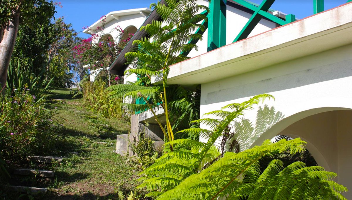 jamaicansdotcom's tweet photo. Day 288 of 365 Things to Do in Jamaica: Take the High Road - https://t.co/D8zVJpGUHo #jamaica365 #LimeTreeFarm #BlueMountain #vacation https://t.co/kA5PbeoxYB