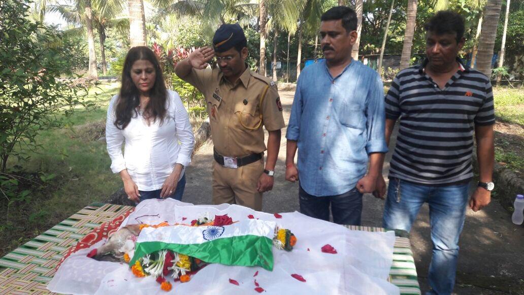 BhupendraRSah's tweet photo. 26/11 हमले में छत्रपति शिवाजी टर्मिनल पर दो ग्रिनेट खोजकर सैकड़ों जान बचाने वाला कुत्ता Caeser आज तिरंगे के कफन में विदा हुआ ।
#RipCaeser https://t.co/xiICVZ6VOj