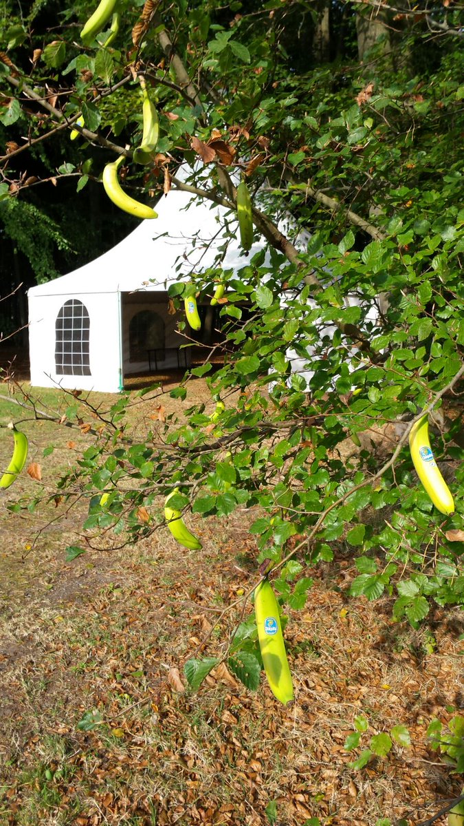 twentemarathon's tweet image. Pluk de vrucht! Vers (gesneden) fuit van Rob’s Vers Shop uit Denekamp - trouwe #routesponsor vanaf het prille begin, post @CreaUnit