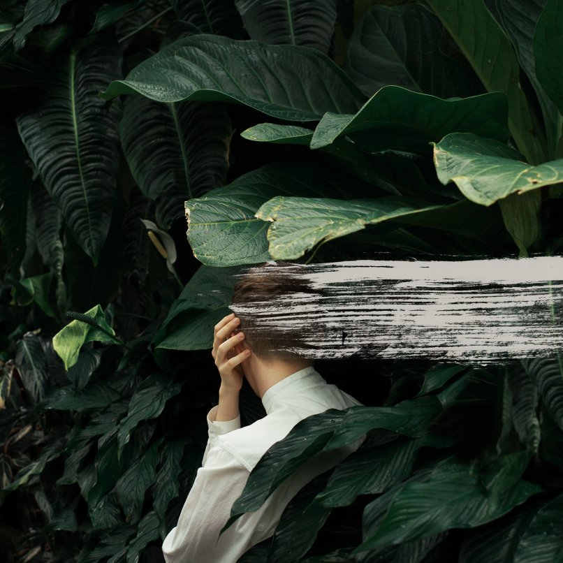 BringYourSound's tweet image. Découvrez le nouvel album de @Fromindianlakes "Everything Feels Better Now" en streaming en avant première ! consequenceofsound.net/2016/10/stream… #music