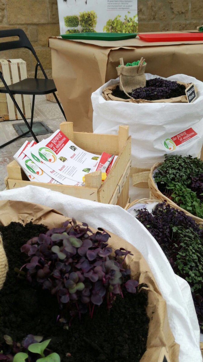 SEEDSandCHIPS's tweet photo. Siamo a Bari con il #FIV2016! Nella giornata mondiale dell'alimentazione portiamo in piazza #startup #FoodInnovation #MadeInItaly #WFD2016 https://t.co/1rtCrUD7Ea