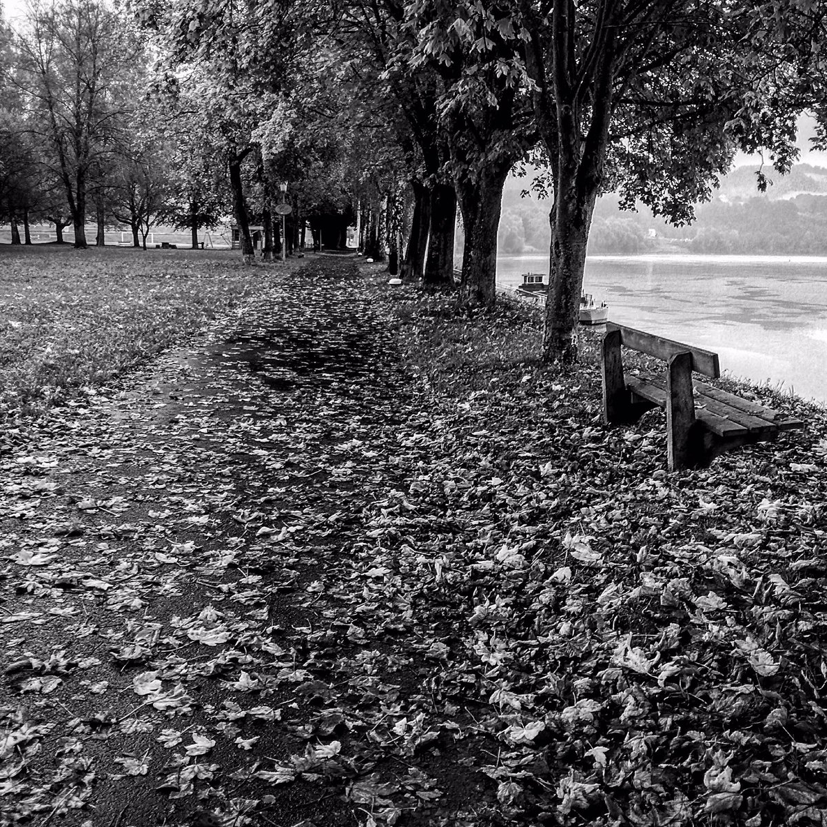 PizaPhotography's tweet photo. #Herbst #autumn #outono #pizaphotography #bnw #nature #naturaleza #natur #tourism #walk https://t.co/bZewVvlO5u https://t.co/JXZF4jXXDC