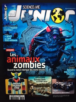 SnapPressDev's tweet photo. @sben0108 a déposé un nouveau drop sur #SnapPress. https://t.co/L0vS2JpdTQ