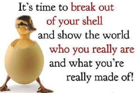 sarah78blizzard's tweet photo. @YouniqueFound with thanks to #younique the shell to the true me is just starting to crack #startdefending #thankful #grateful https://t.co/Rk9xSe5vmR
