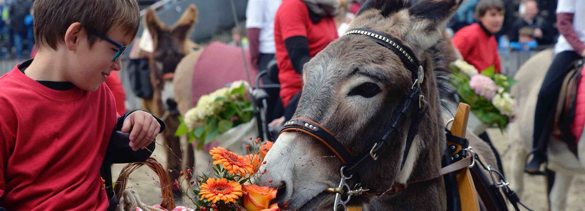 NewInZurich's tweet photo. Looking for a different kind of outing the weekend in #Switzerland? How about a trip to the #OlmaFest in #StGallen? https://t.co/kZTKeXNoVi https://t.co/EMOF9XuGZP
