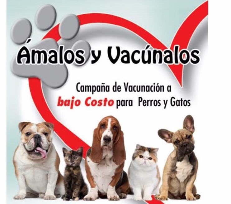 HumacaoArenaCBA's tweet photo. Sábado 22 octubre 1-5pm Plazoleta CBA Humacao @ElOrientalPR @waloradio @cooporiental https://t.co/2kT9I1Nmm1