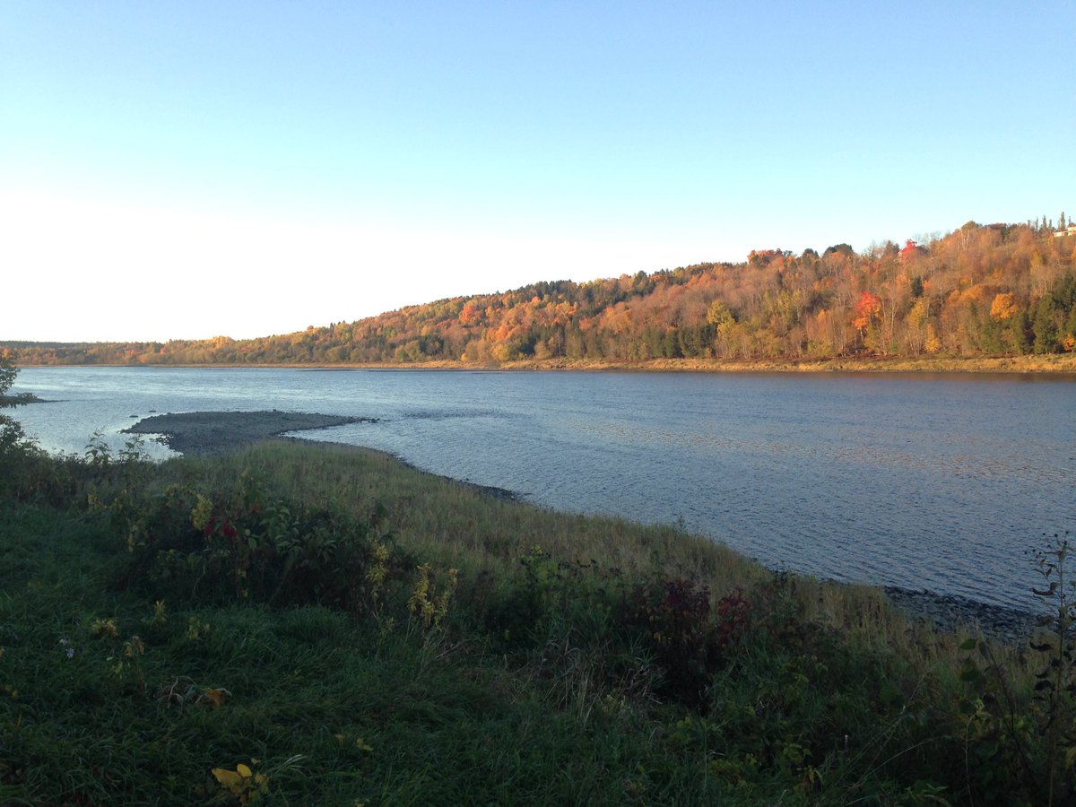 @seguincbc the river is quite low here at the farm in Florenceville.