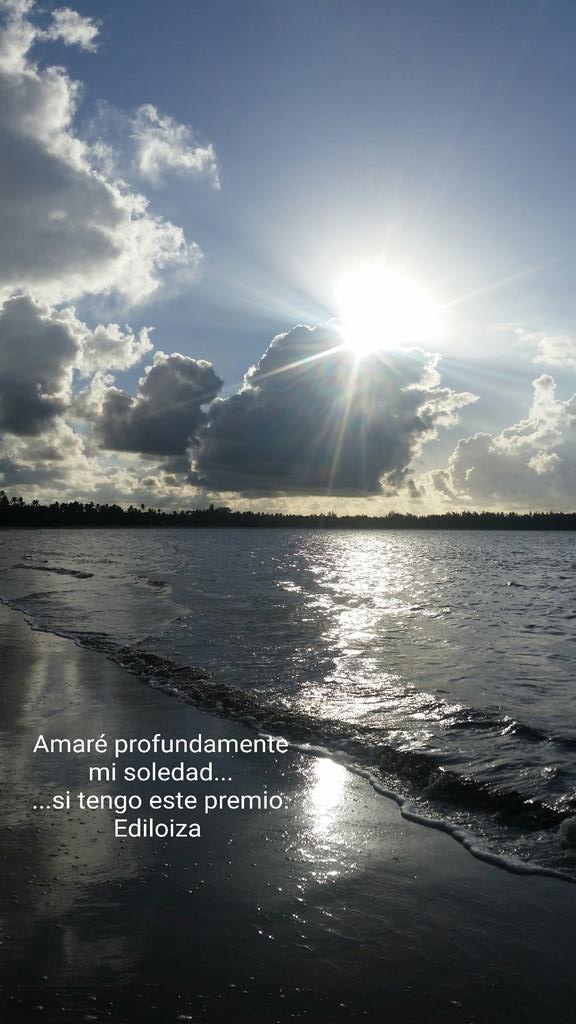 EdiloizaMy's tweet image. 