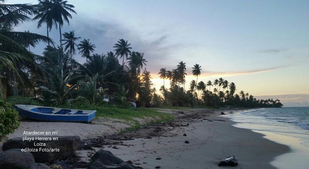 EdiloizaMy's tweet image. Loíza PR