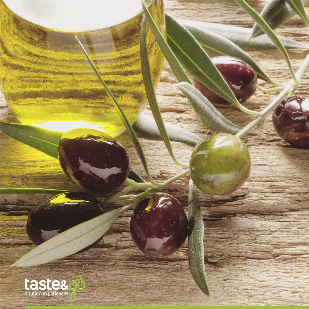 TasteandGo's tweet photo. Puglian extra virgin olive oil. Ride with us through olive groves and we'll let you taste the many varieties produced in #Puglia #food https://t.co/7LbCUsEJOk