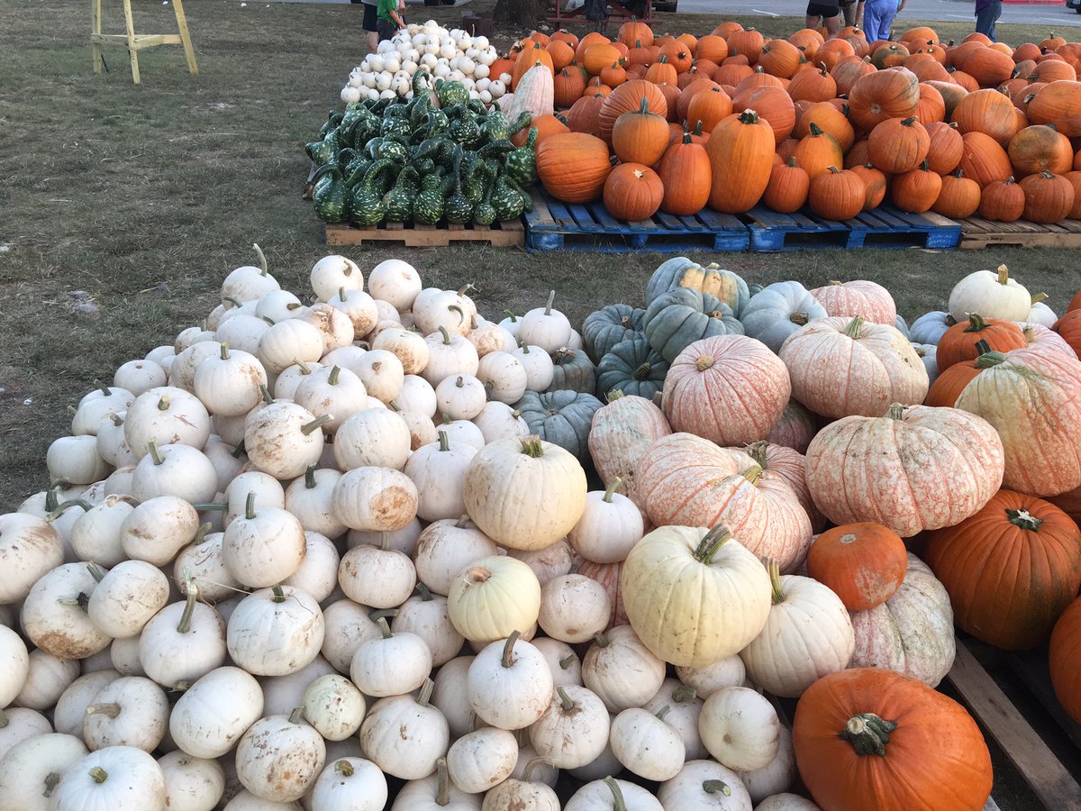 DCELandonBecker's tweet photo. Pumpkin Mania begins today!!!! https://t.co/stRPhP0J8n