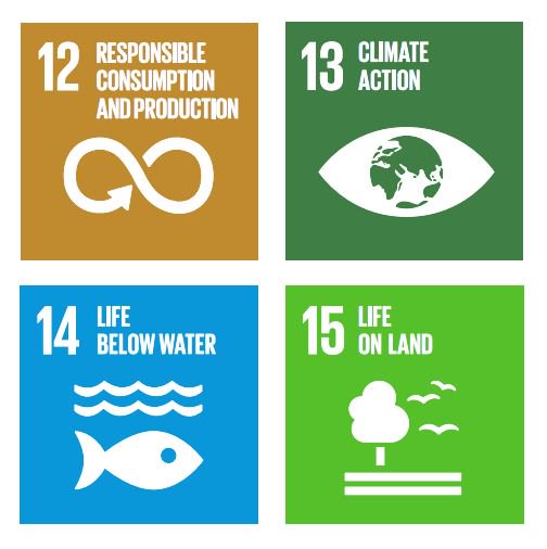 GEMReport's tweet image. Education helps develop right knowledge, skills &amp;amp;technical solutions that can change environmental behavior #sdg4all bit.ly/2cwnZE5