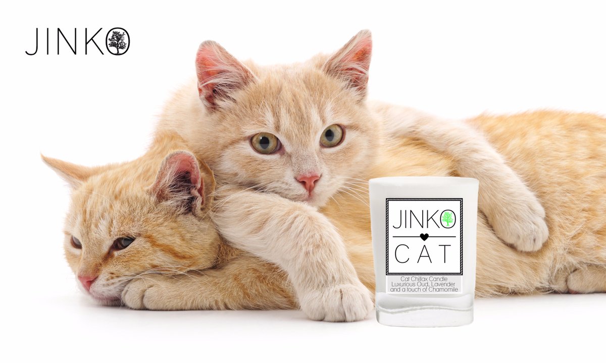 Jinkowood's tweet photo. #BonfireNight #fireworks #lovemycat #cat #calming #aromatherapy #PetSecrets.Your feline friend will feel calm &secure this November #candles https://t.co/VDDOOA86zK