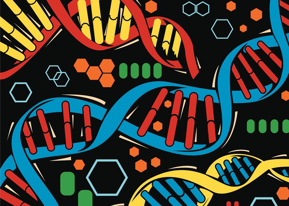 DLGenealogist's tweet photo. What is in your genes? RT &amp; share your #mtDNA #haplogrouo &amp; find your very distant cousins! I am #H24a in #H mtdna https://t.co/A8da9YENpi