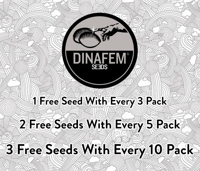 Dr Chronic tweet media