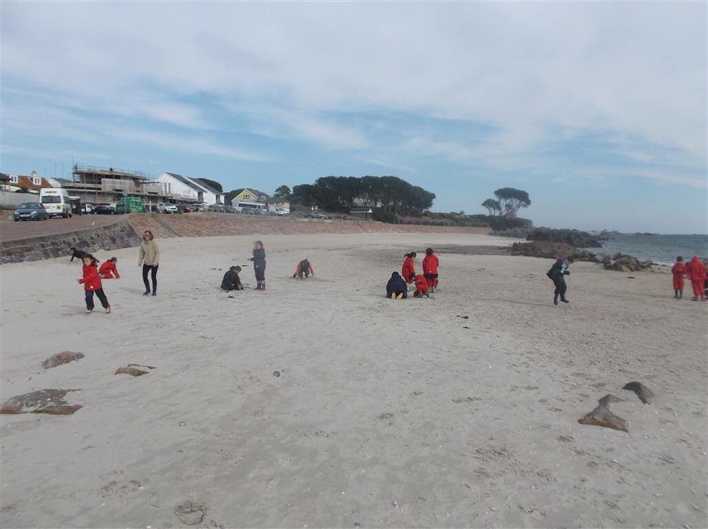 <a href="/MAL_SEN_Jersey/">Mont a l'Abbe School</a> learning together and having fun at the beach #beachschool