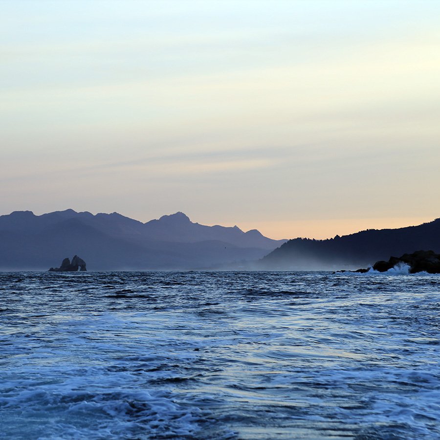 ArdentCamper's tweet photo. We went on a #fishing and #eating adventure amid some ridiculous scenery on #Oregon's coast. https://t.co/L09QqXAnYy #PNW #TillamookBay https://t.co/EYOhM9Xsya