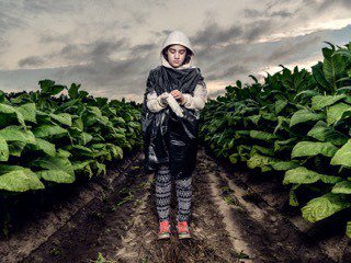 ChildLaborCLC's tweet image. Would the President respond if all 11k of our followers asked him to ban #ChildLabor in US #tobacco? #ThinkSO #99Daysleft2FIX