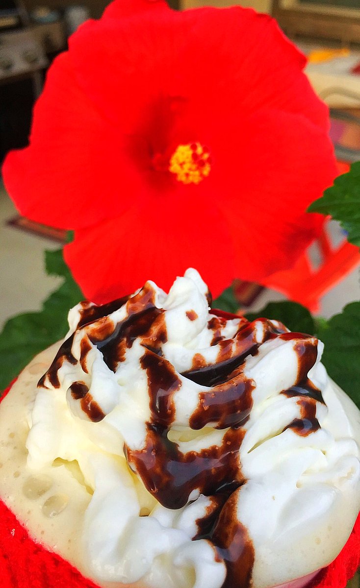 Dastylishfoodie's tweet photo. Cheers to the weekend. ☕️🍫🌺
#Coffee #Chocolate #CoffeeLover #InaMug #FoodieFriday Flowers #TaketimetoSmellaFlowerToday #Nature #TGIF https://t.co/VplLcquse1