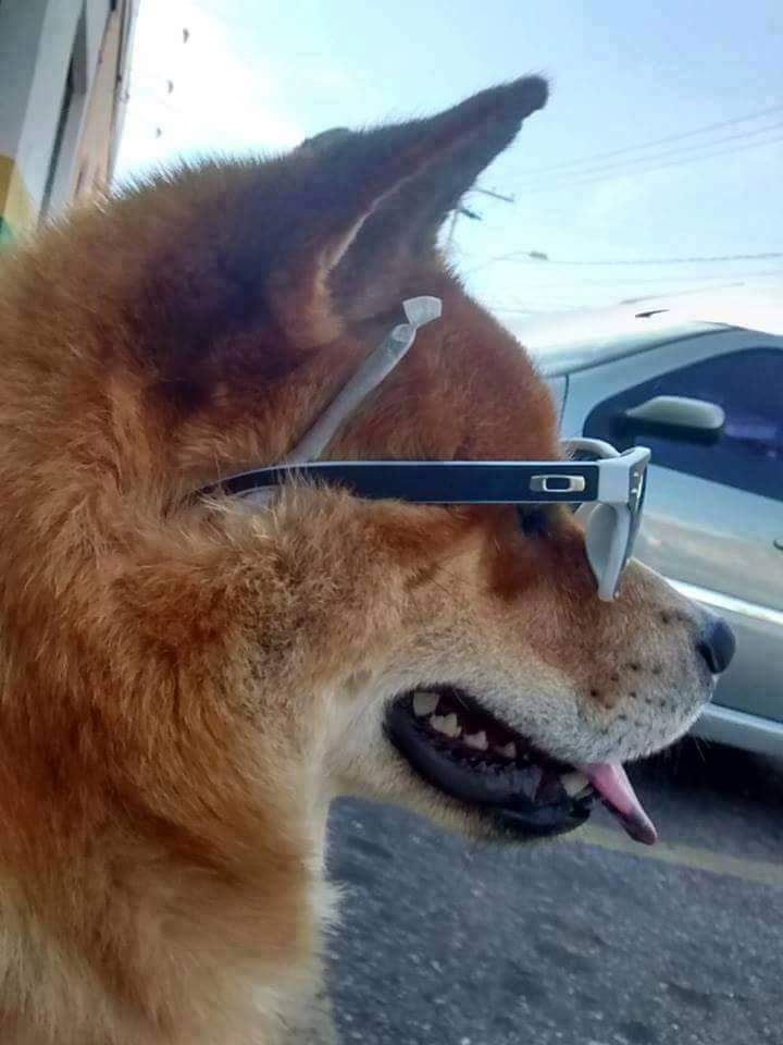 BN_Rasta's tweet photo. Sextou BB. https://t.co/eYAeZs2n2D