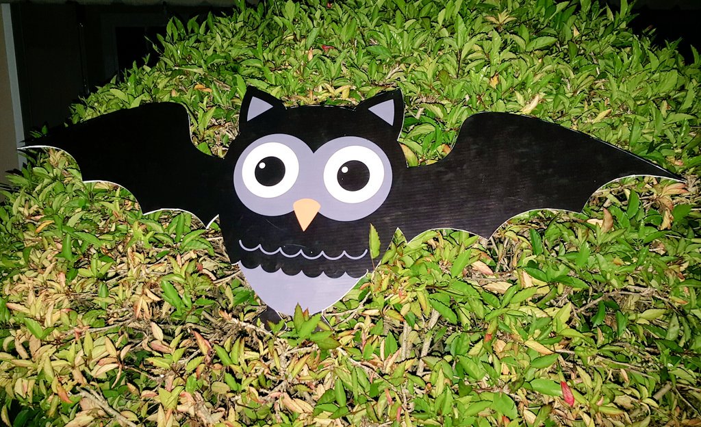 promoprintxa's tweet photo. #halloween #buhos #Decoracion #Vinil #Xalapa #Coatepec para decorar tus eventos en HALLOWEEN   somos la mejor opción llámanos 2288200811 https://t.co/GRHh6xB9Sj