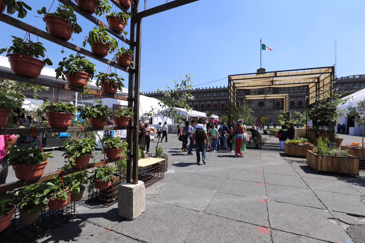 ManceraMiguelMX's tweet photo. A partir de hoy y hasta el 23 de octubre en la @FILZocalo podrán encontrar libros de editoriales nacionales e internacionales #mm https://t.co/ZFsXFYx5KX