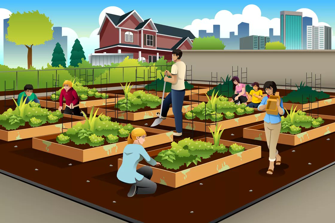 AgricultureUrbaine tweet media