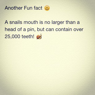 GlendaeMitchell's tweet photo. That's a LOT of teeth! Hard to imagine something so small having so many teeth! #FunFactFriday #ResourceSeven #WhoKnew #Snails #Teeth https://t.co/YHPyG5CvRF