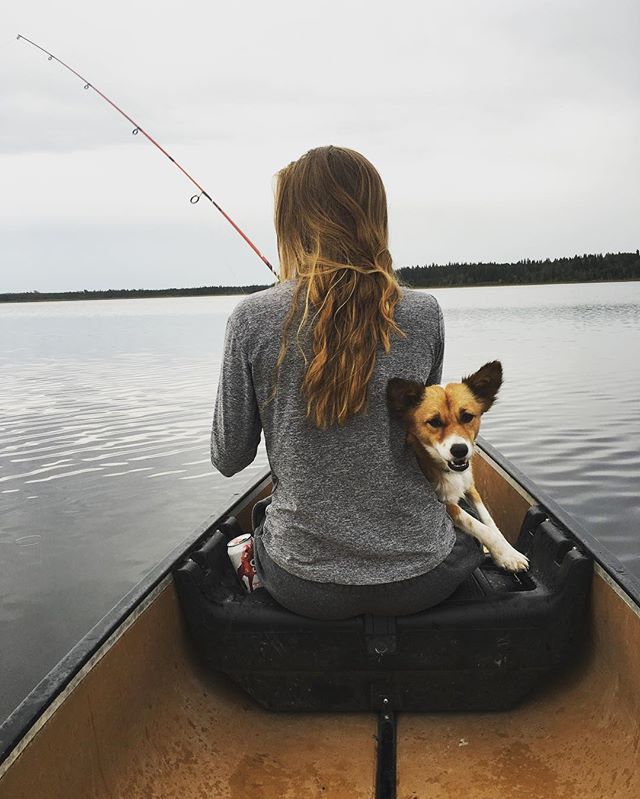 TravelManitoba's tweet photo. "When you're this fluffy, all weather is beach weather." Just a few pups enjoy autumn! Adorable photos by https://t.co/wJ9JjR5GMA https://t.co/WPYGE4n0xU