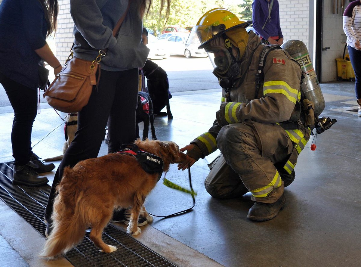 CPFFALocal499's tweet photo. What a great day to help train these furry friends! 
@CambridgeFD 
@opffa 
@Shannonview https://t.co/eSJugaOUYJ