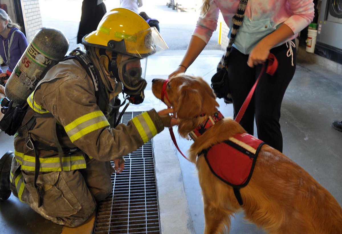 CPFFALocal499's tweet photo. What a great day to help train these furry friends! 
@CambridgeFD 
@opffa 
@Shannonview https://t.co/eSJugaOUYJ