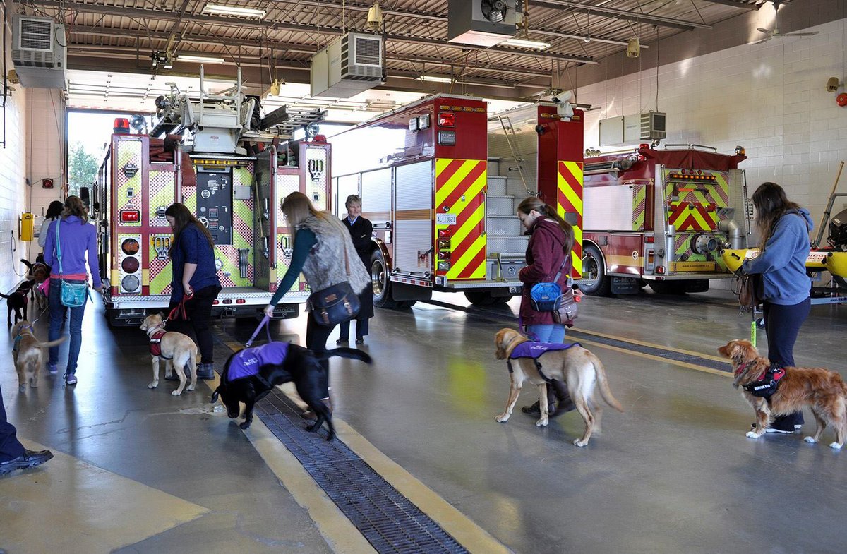 CPFFALocal499's tweet photo. What a great day to help train these furry friends! 
@CambridgeFD 
@opffa 
@Shannonview https://t.co/eSJugaOUYJ