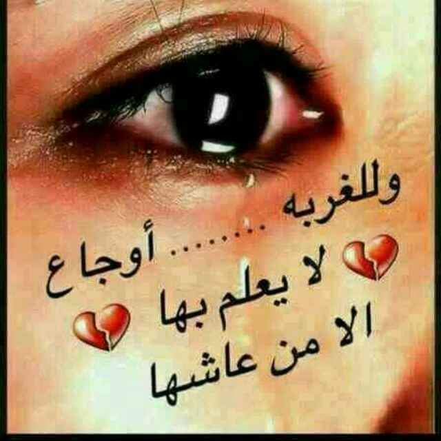 mhddakyt7's tweet photo. https://t.co/FvSHtNalYi