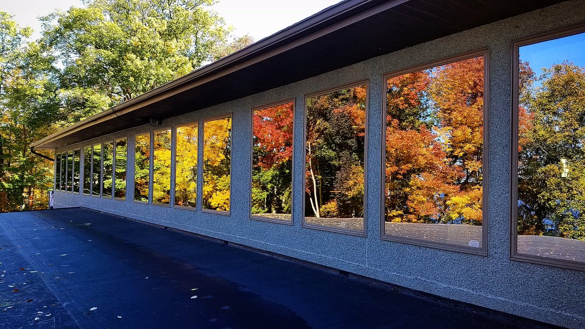 SilverBirchesPA's tweet photo. The reflection off our windows this morning was stunning! #fallfoliage #leaves #fallinpa #PoconoMtns #patravelhappy #fallatthelake https://t.co/9km3ZQ77hY