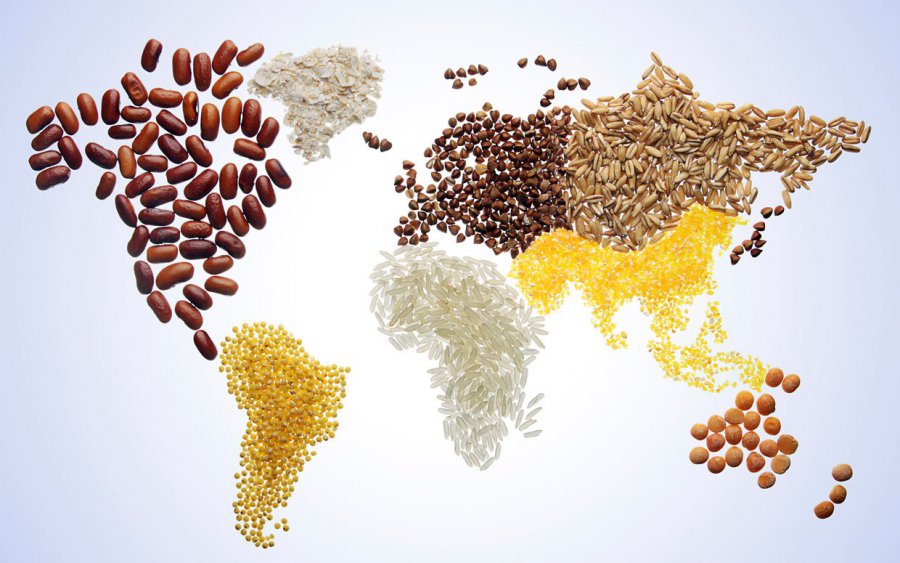 IAFPFood's tweet photo. This Sunday is #WorldFoodDay. This year’s theme is “Climate is changing. Food and agriculture must too.” https://t.co/qJi8EdbOoG https://t.co/Rht2a292KV